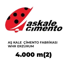 Company name