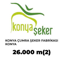Company name